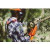 Pila ECHO CS-2511WES/25 5
