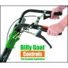 BG controls